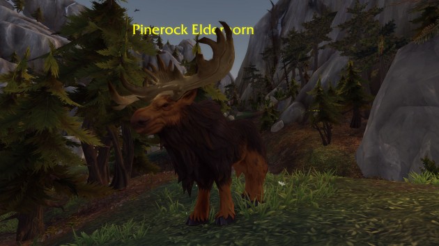pinerock elderhorn