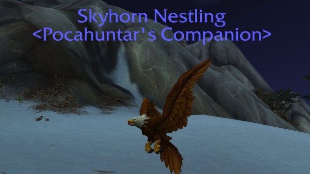 Skyhorn Nestling