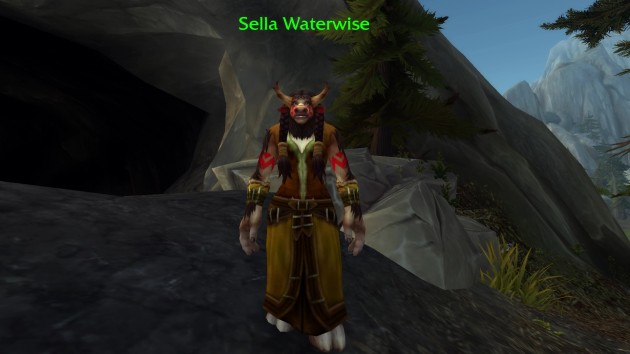 sella-waterwise