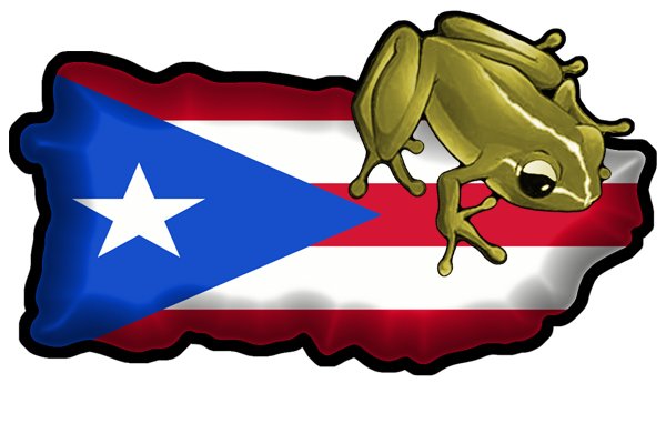 Hurricane Maria Puerto Rico Updates