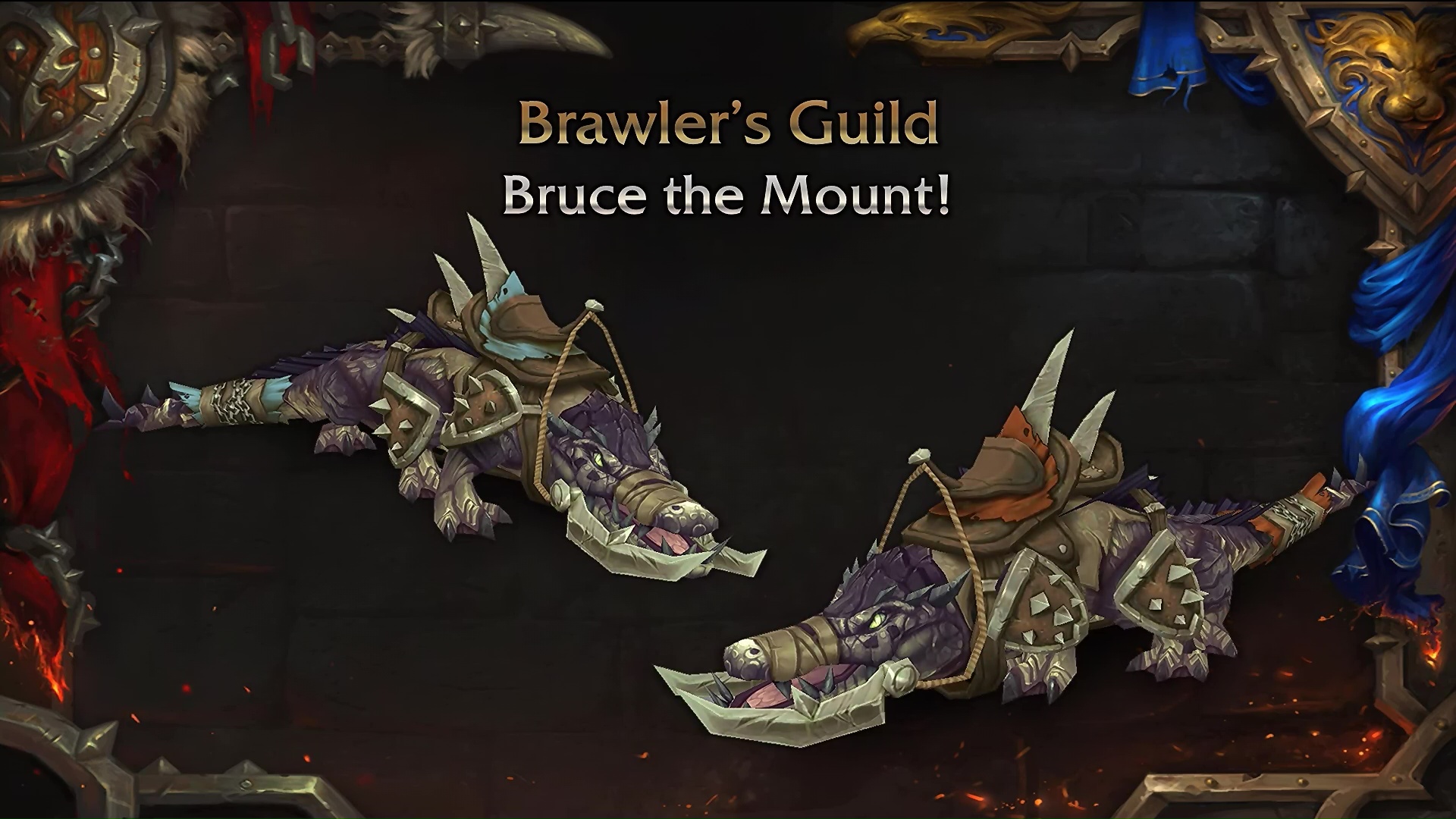 Brawler's Guild bruce the mount